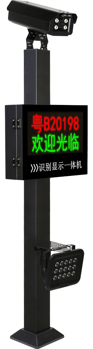 经典款1