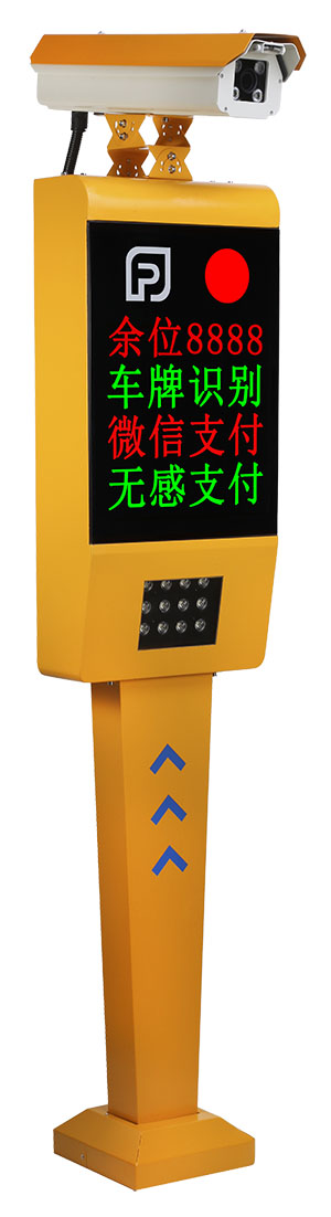 智睿黄色款02